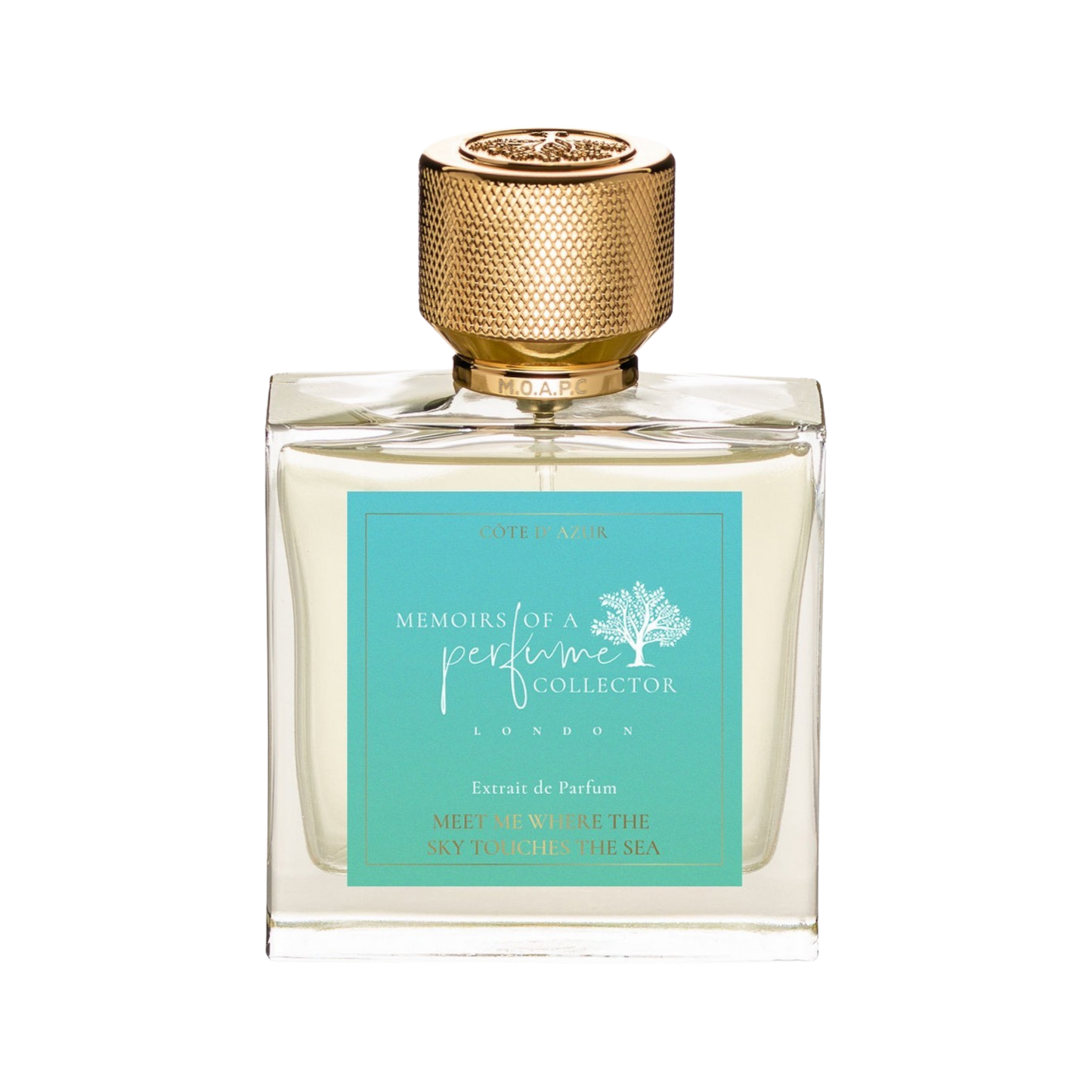 Memoirs Of A Perfume Collector MOAPC Meet Me Where The Sky Touches The Sea Sample Decant