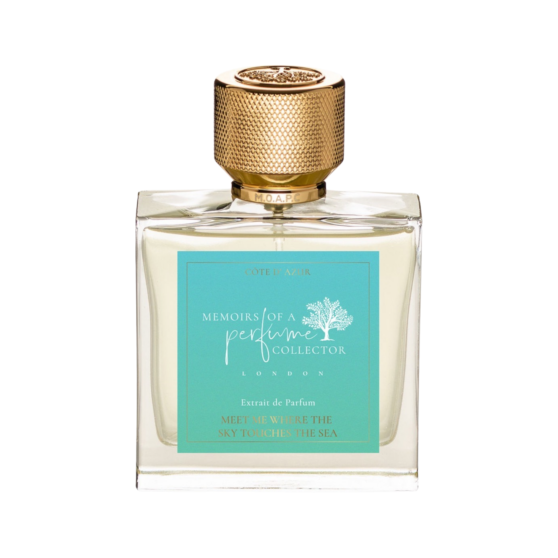 Memoirs Of A Perfume Collector MOAPC Meet Me Where The Sky Touches The Sea Sample Decant